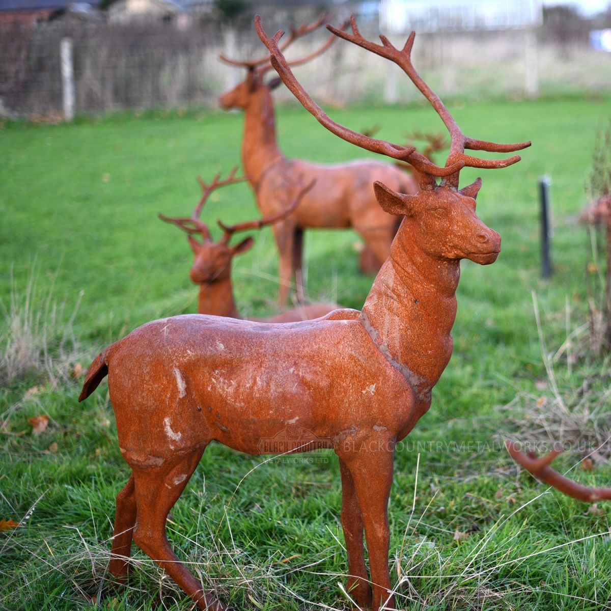 Elkin Highlands Stag head facing right