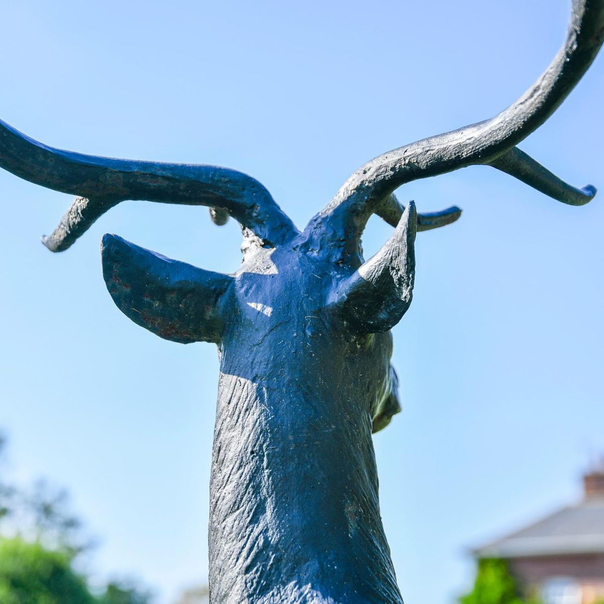 View of the Back of the Head of the Stag