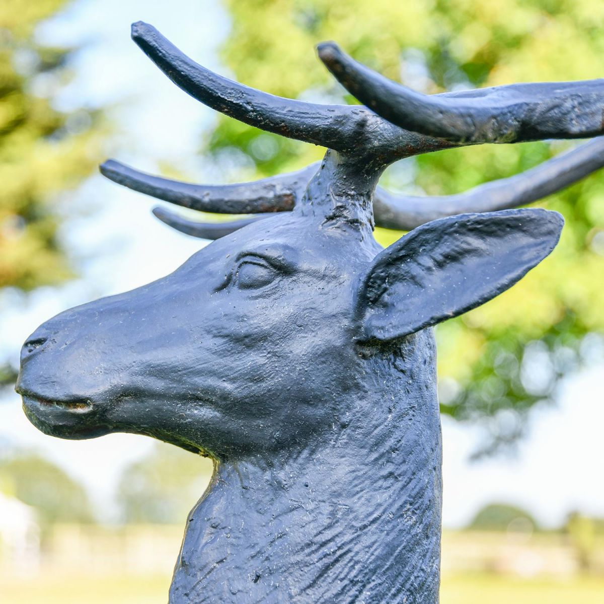 View of the side of the Stags Head