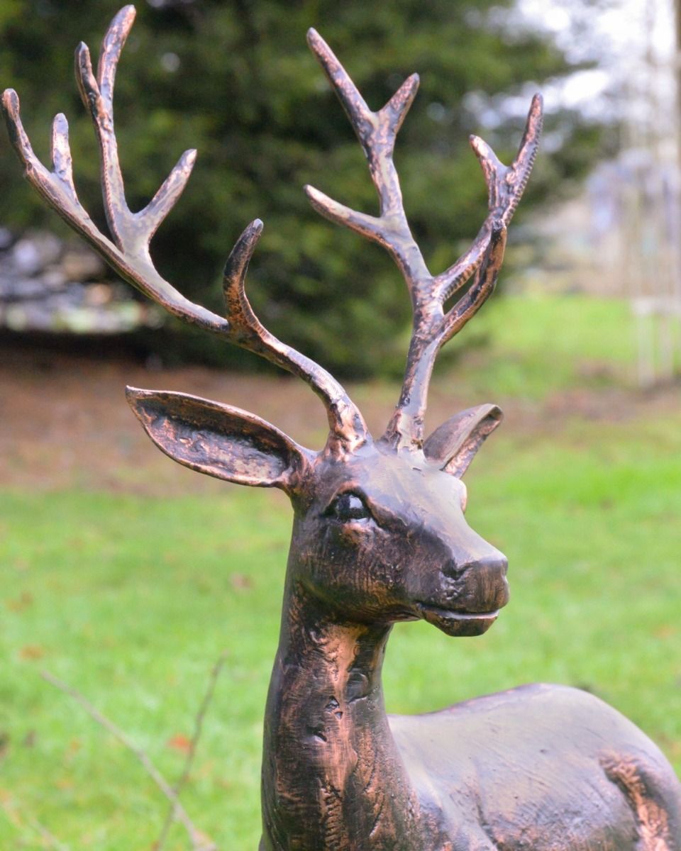 "Flint" the Cast Aluminium Gazing Stag Garden Sculpture Positioned on a Lawn with a Close up of the Head