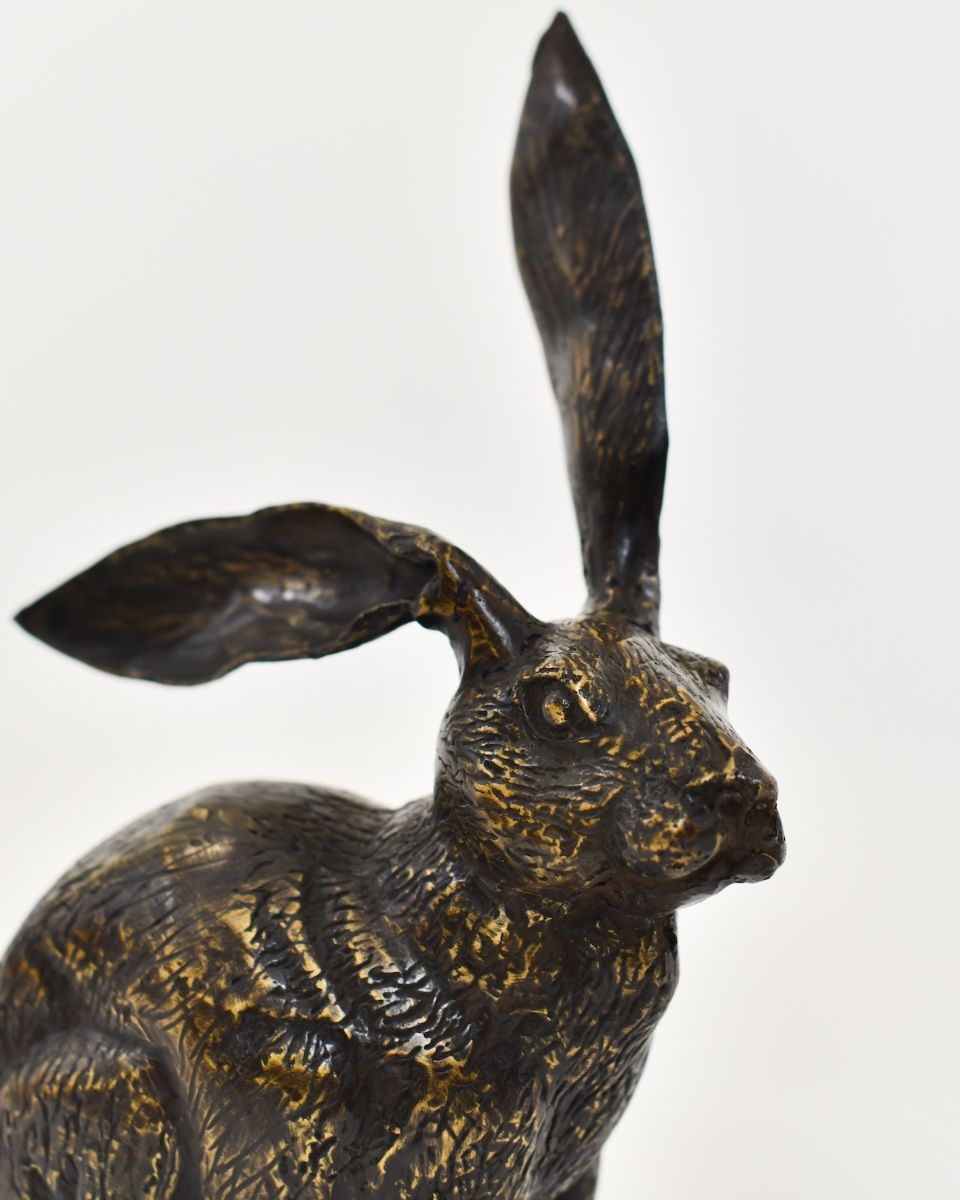 "Heathland Herald" Cast Brass Alert Hare Sculpture close up of head