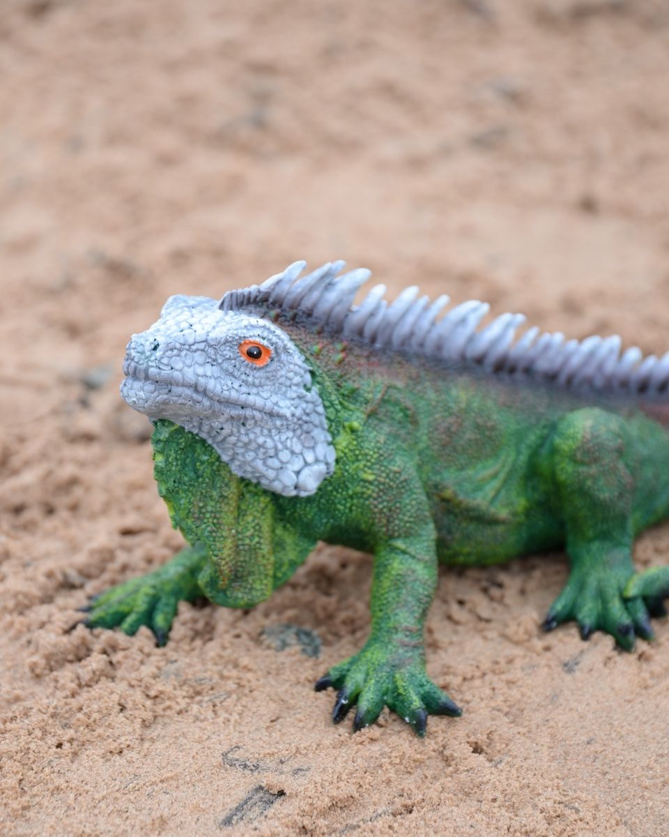 "Ignatius" the Iguana Cast Resin Garden Sculpture close up of head