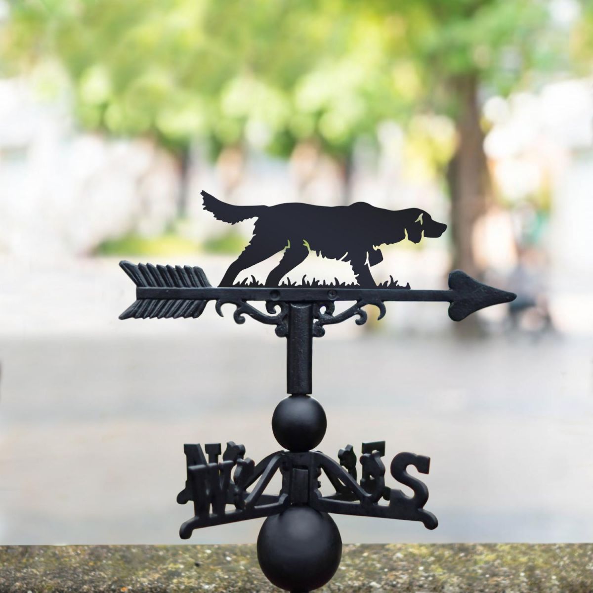  Irish setter weathervane in the park