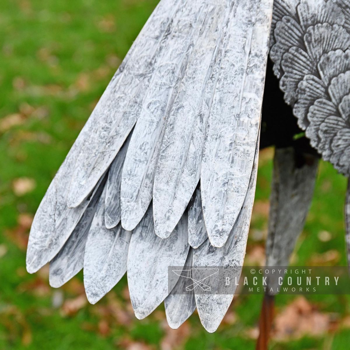 Close-up of the Tail on the White Flamingo