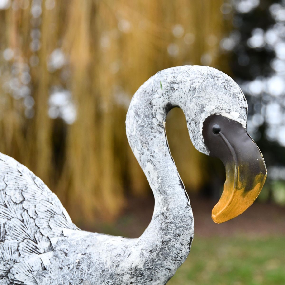 Close-up of the Head of the White Flamingo Close-up of the Head of the White Flamingo