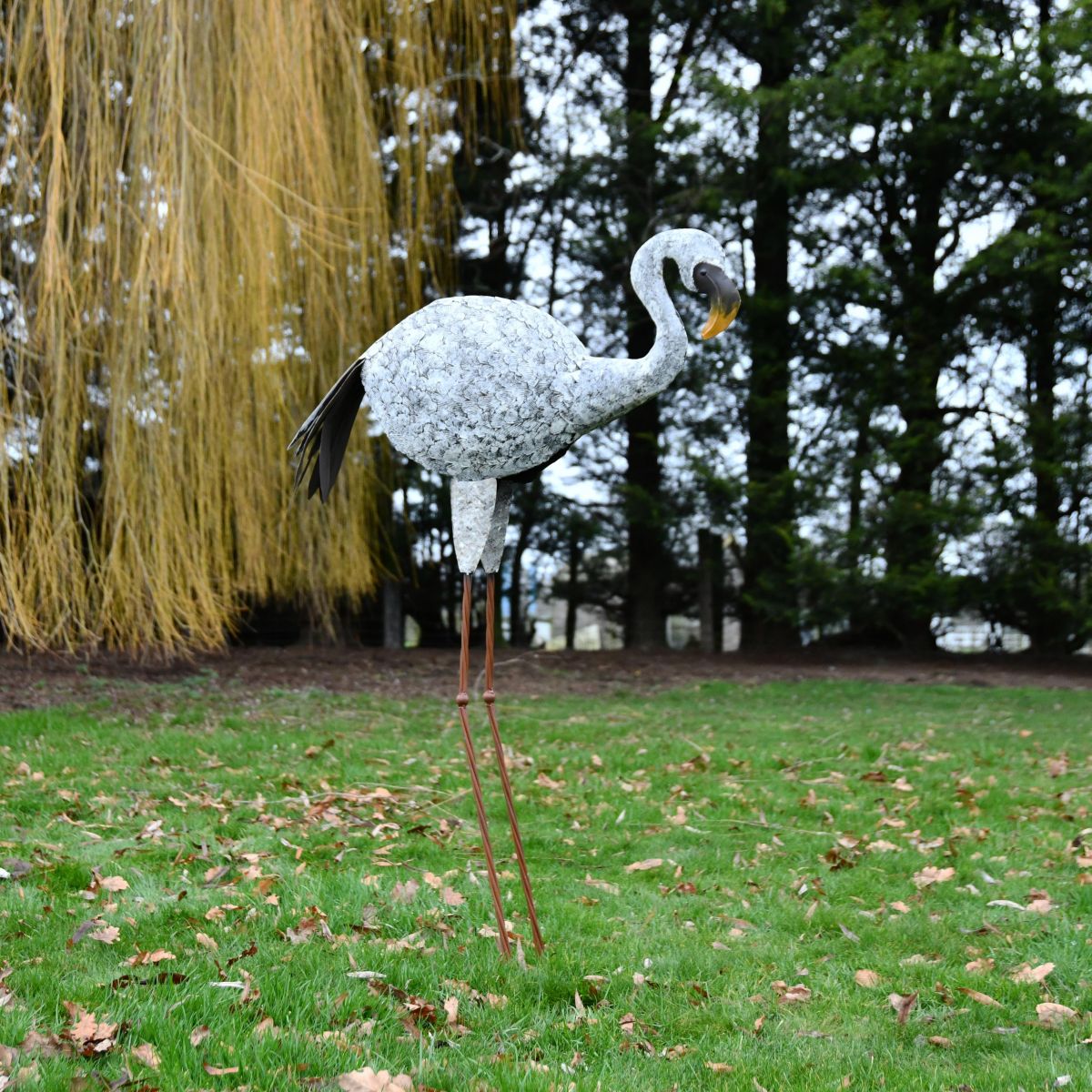 “Jabberwocky” Flamingo in Situ in the Garden “Jabberwocky” Flamingo in Situ in the Garden