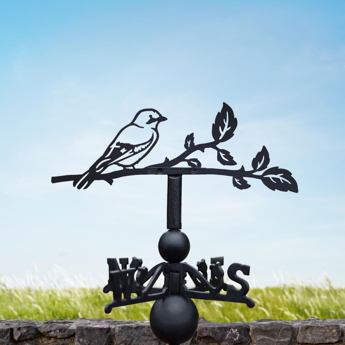 Jay weathervane on a sunny day