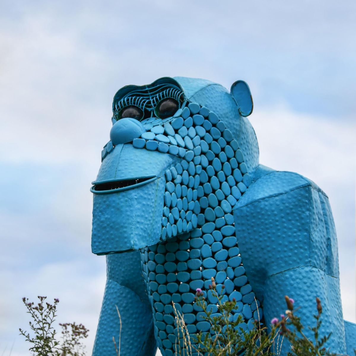 Close-Up of Blue “Lord Greystoke” Stunning Silverback Gorilla Sculpture Close-Up of Blue “Lord Greystoke” Stunning Silverback Gorilla Sculpture