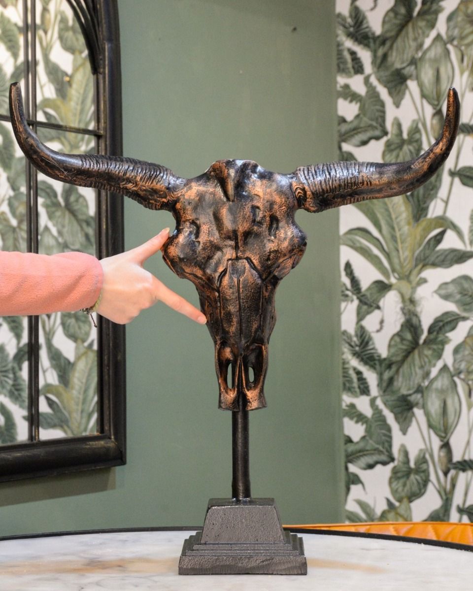 "Montana" Cast Aluminium Long Horn Skull Positioned on a Table Inside a Home with a Hand in Shot for Scale