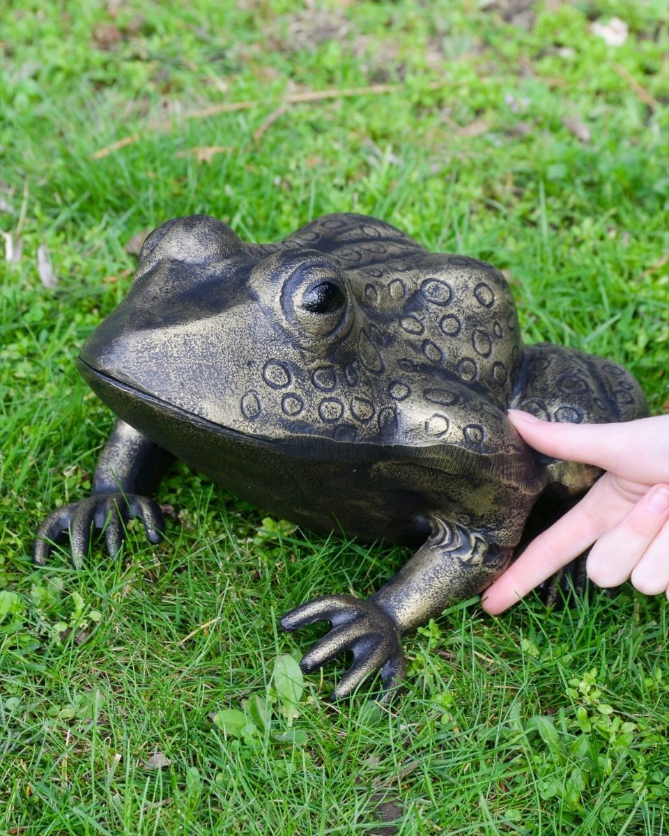 Gold Version of the "Morty" the Toad Cast Aluminium Garden Sculpture Positioned on a Lawn with Hand in Shot for Scale