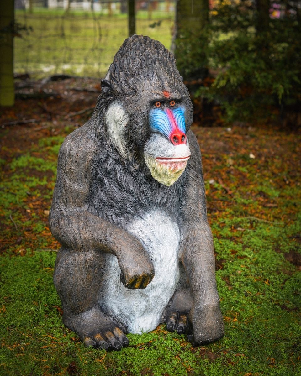 "Patriarch Mandrill" Fibreglass Garden Sculpture facing left