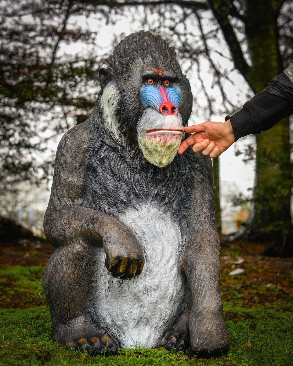 "Patriarch Mandrill" Fibreglass Garden Sculpture with hand in shot for scale