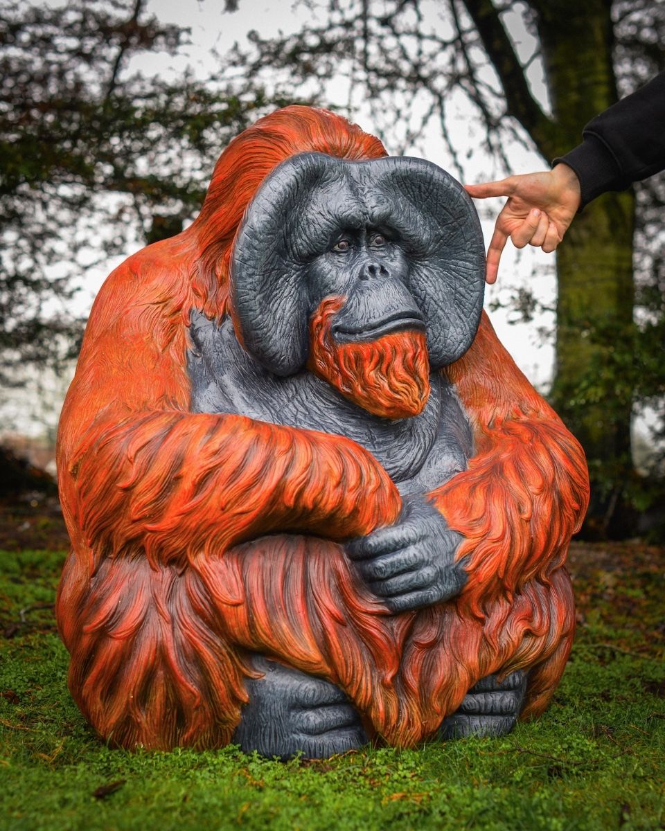 "Patriarch Orangutan" Fibreglass Garden Sculpture with hand in shot for scale