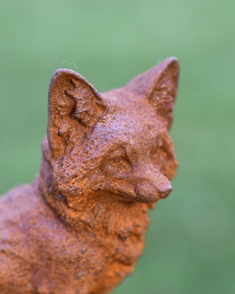 Close up of the Head of "Phyllis" the Sitting Cast Iron Fox