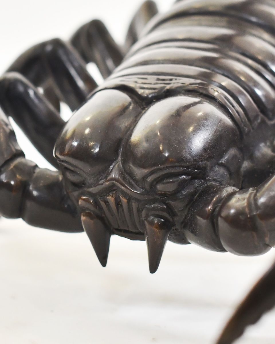 "Primal Sting" Cast Brass Scorpion Sculpture close up of head