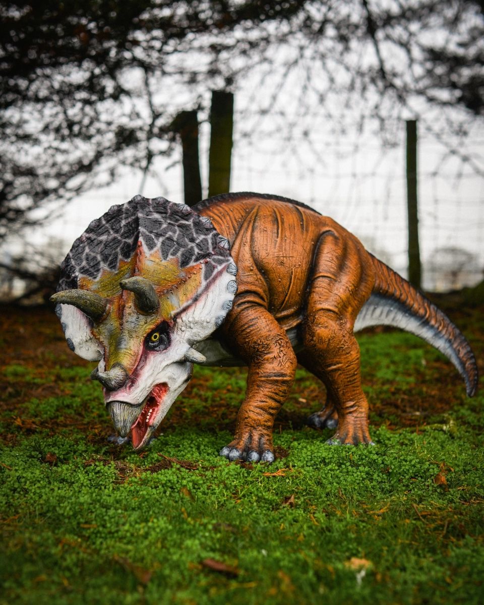 "Primeval Protector" Triceratops Fibreglass Garden Sculpture