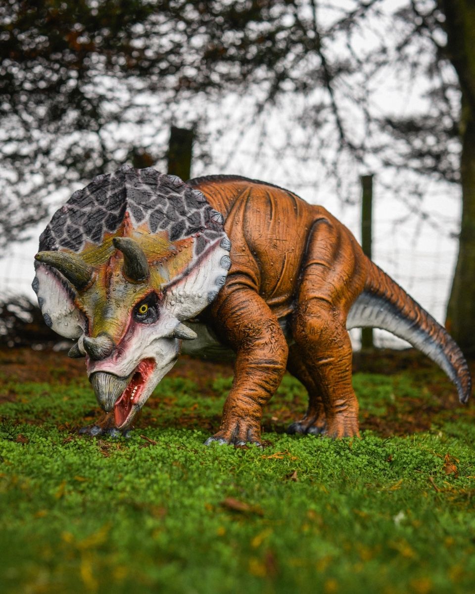 "Primeval Protector" Triceratops Fibreglass Garden Sculpture angled image