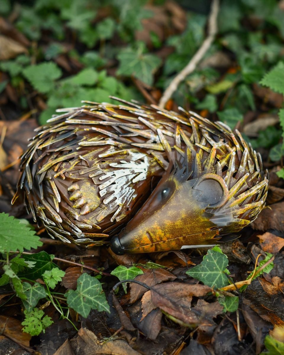 "Quill" Sleeping hedgehog Steel Garden Ornament