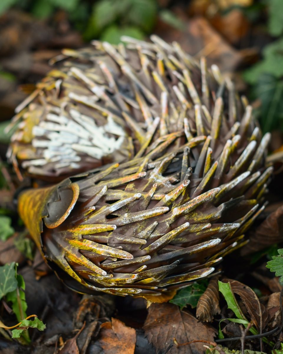 "Quill" Sleeping hedgehog Steel Garden Ornament cloe up of back