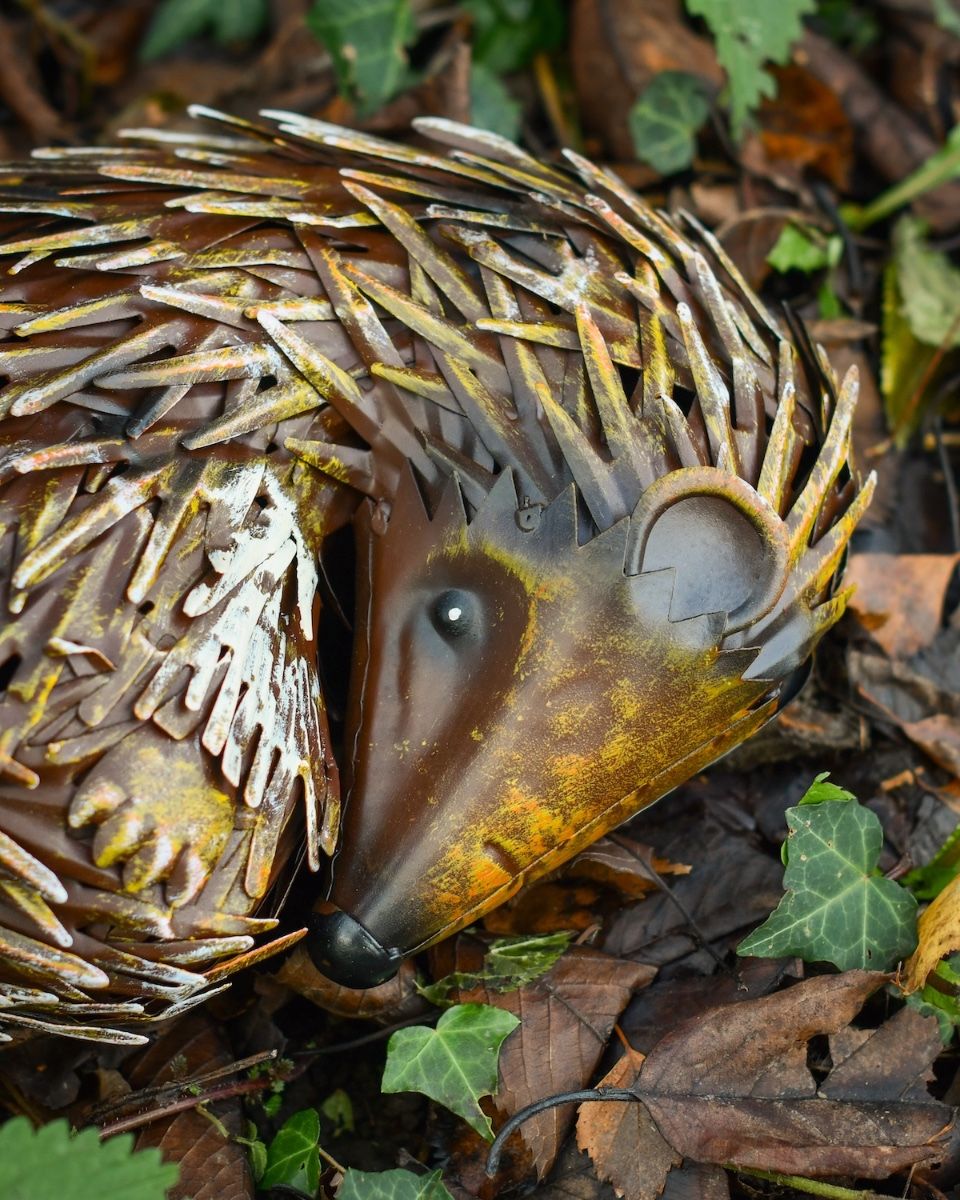 "Quill" Sleeping hedgehog Steel Garden Ornament close up of head