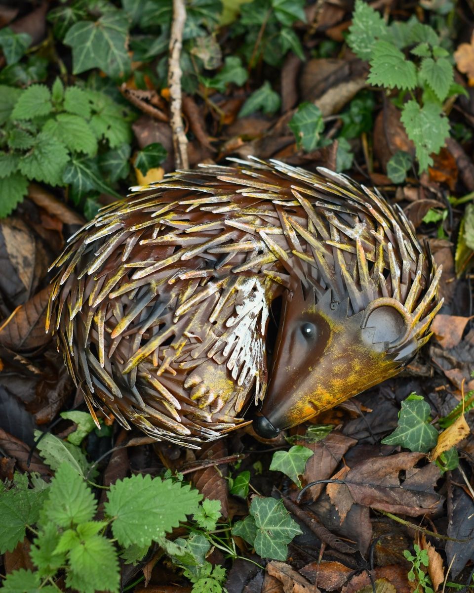 "Quill" Sleeping hedgehog Steel Garden Ornament nestled in leaves