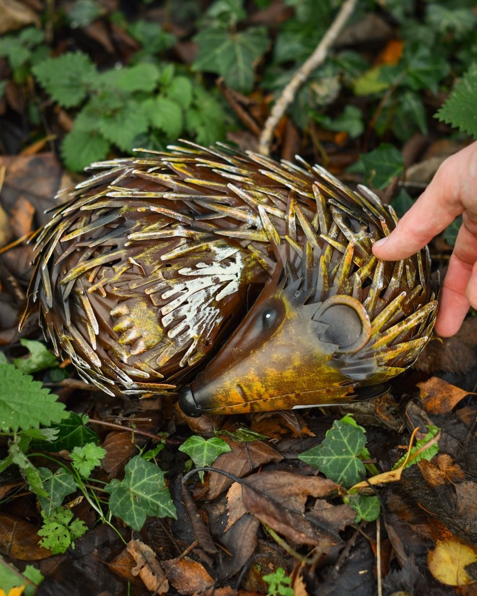 "Quill" Sleeping hedgehog Steel Garden Ornament with hand in shot for scale
