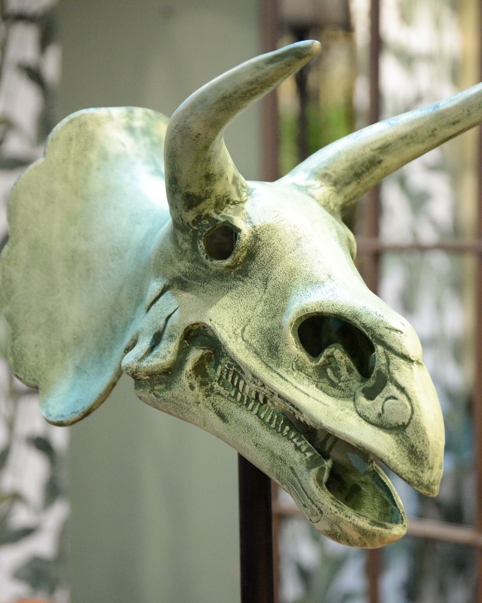 "Relic" Cast Aluminium Triceratops Skull close up