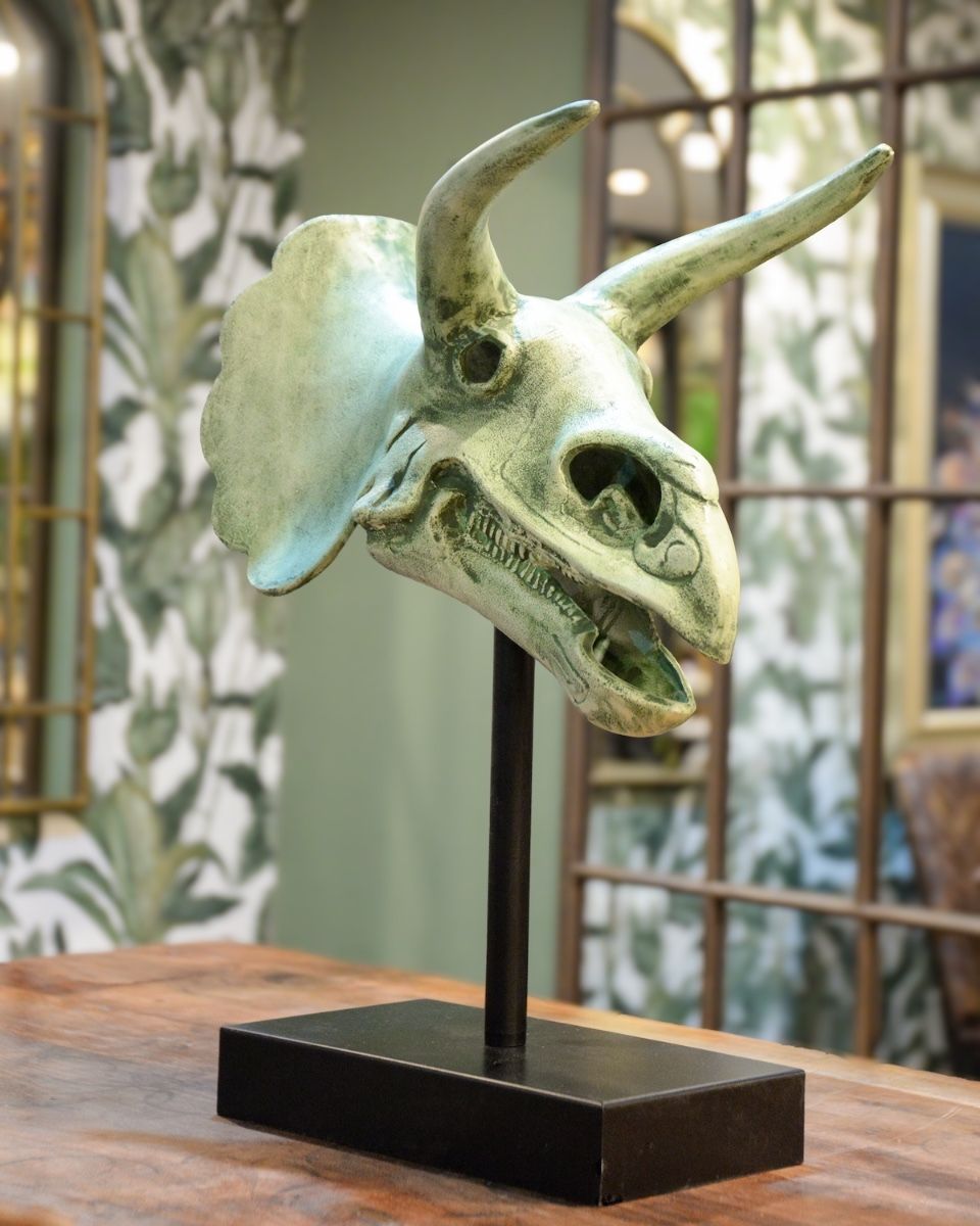 "Relic" Cast Aluminium Triceratops Skull