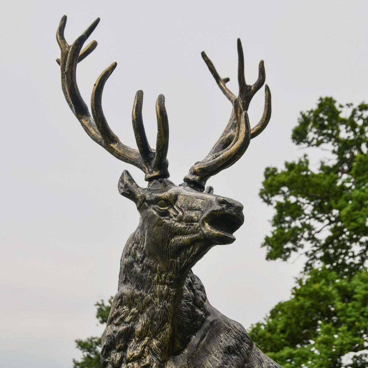 Close-up of the Head on the “Renwick” Stag on Rock Sculpture