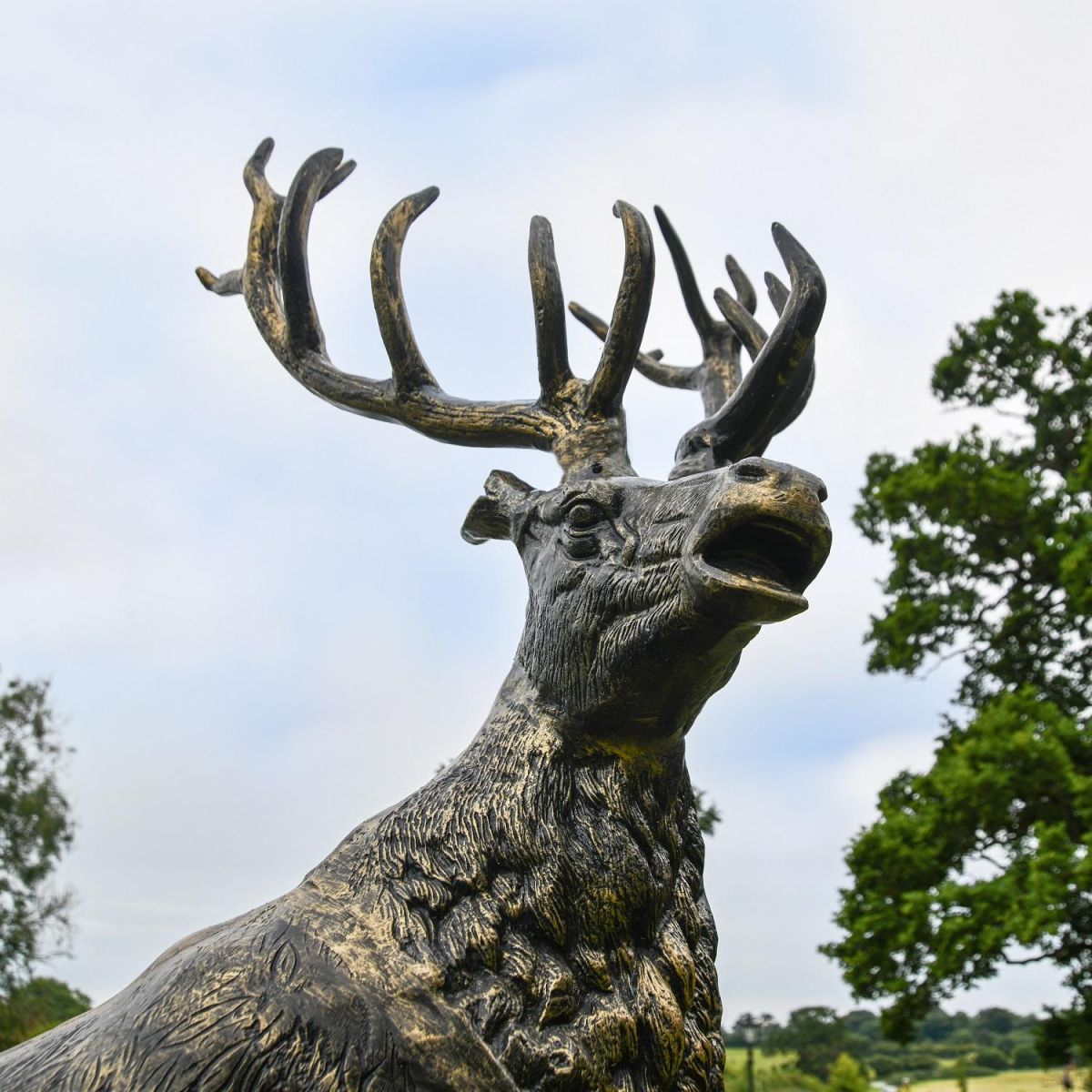 Close-up of the Head of the “Renwick” Stag on Rock Sculpture