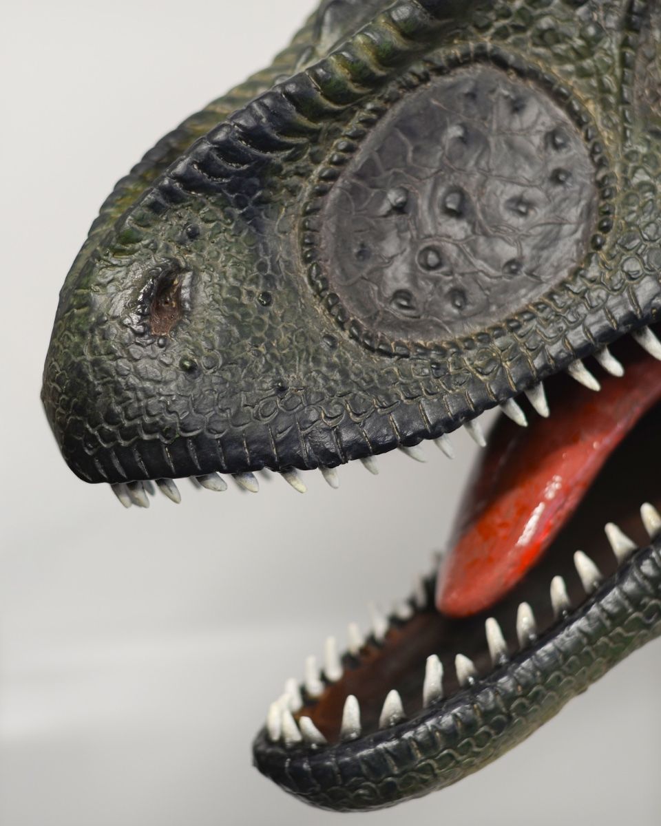 ‘Rory’ the T-Rex Fibreglass Garden Wall Art on white wall close up of snout