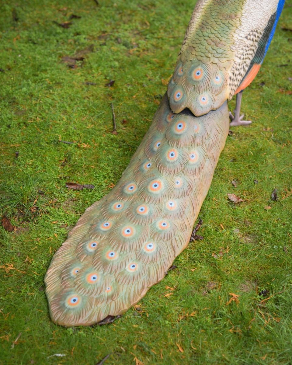 "Sapphire Emissary" Fibreglass Peacock Garden Sculpture peacock tail feathers 