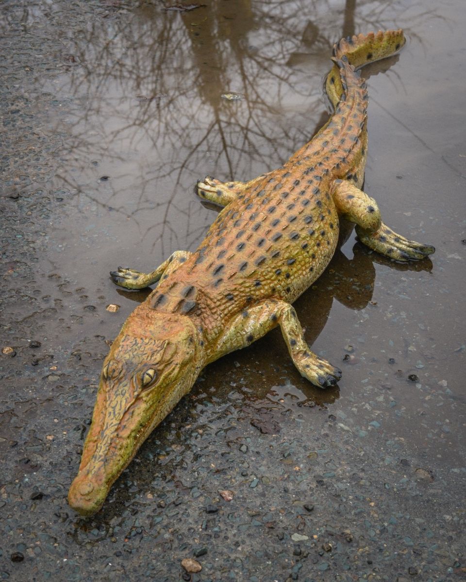 "Ambush" Fibreglass Crocodile Garden Sculpture