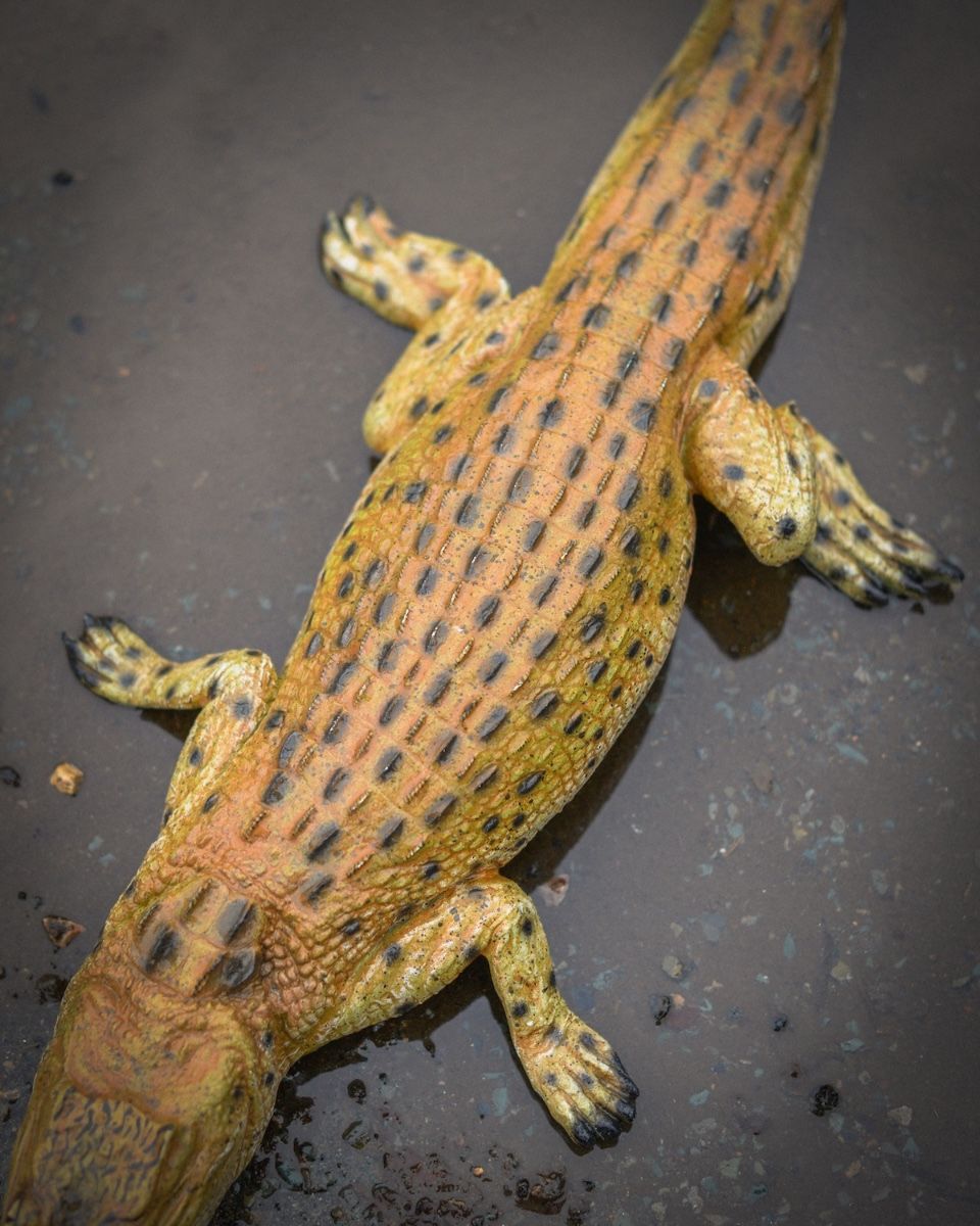 "Scaled Ambush" Fibreglass Crocodile Garden Sculpture close up of back