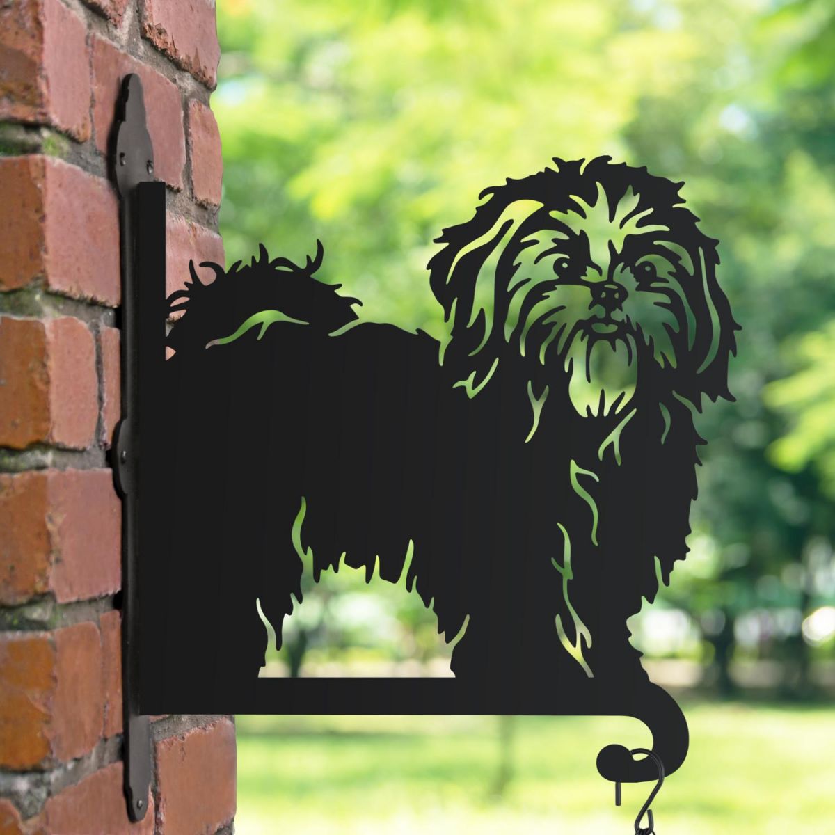 Shih Tzu hanging basket bracket in the park