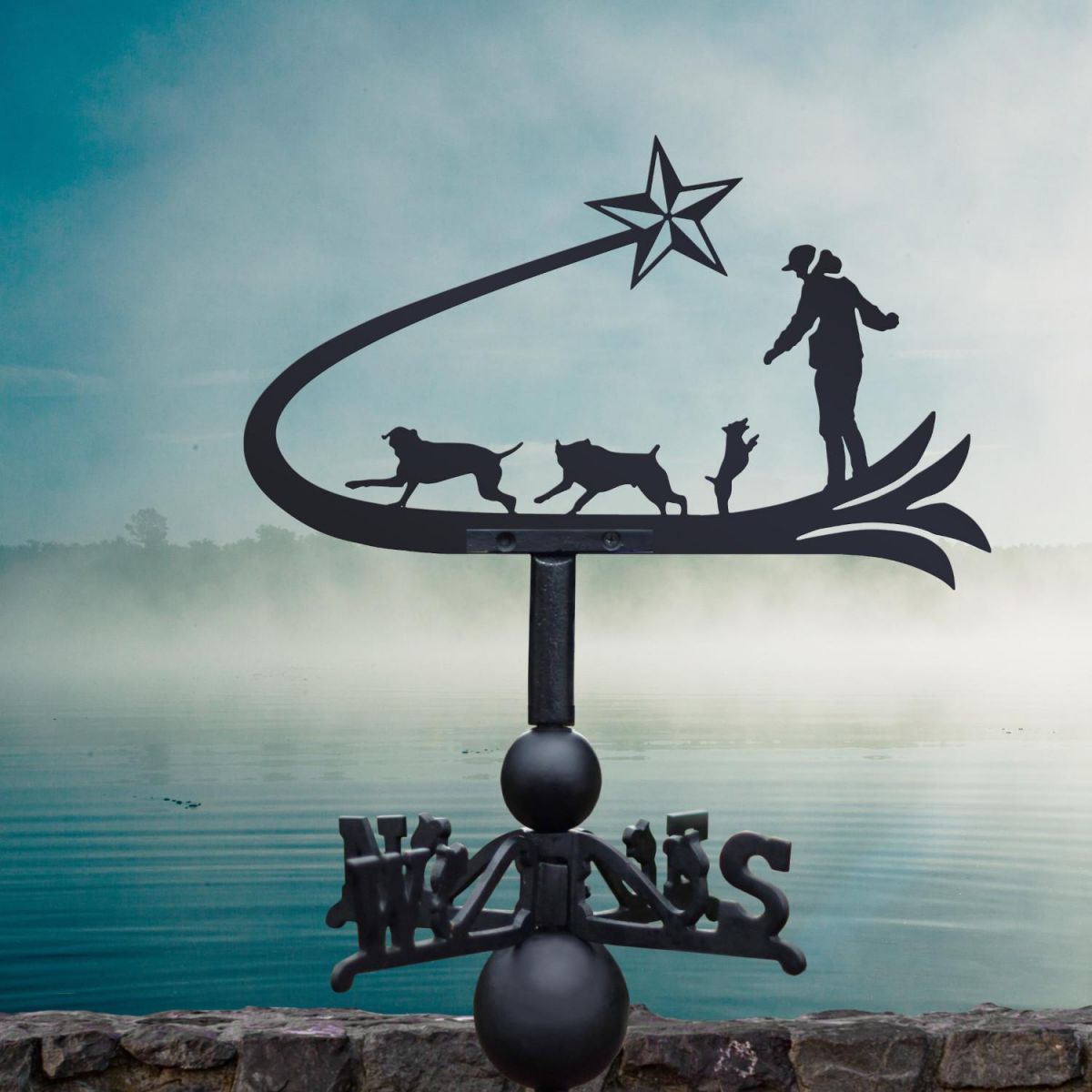 Shooting star & dogs weathervane on a cloudy day