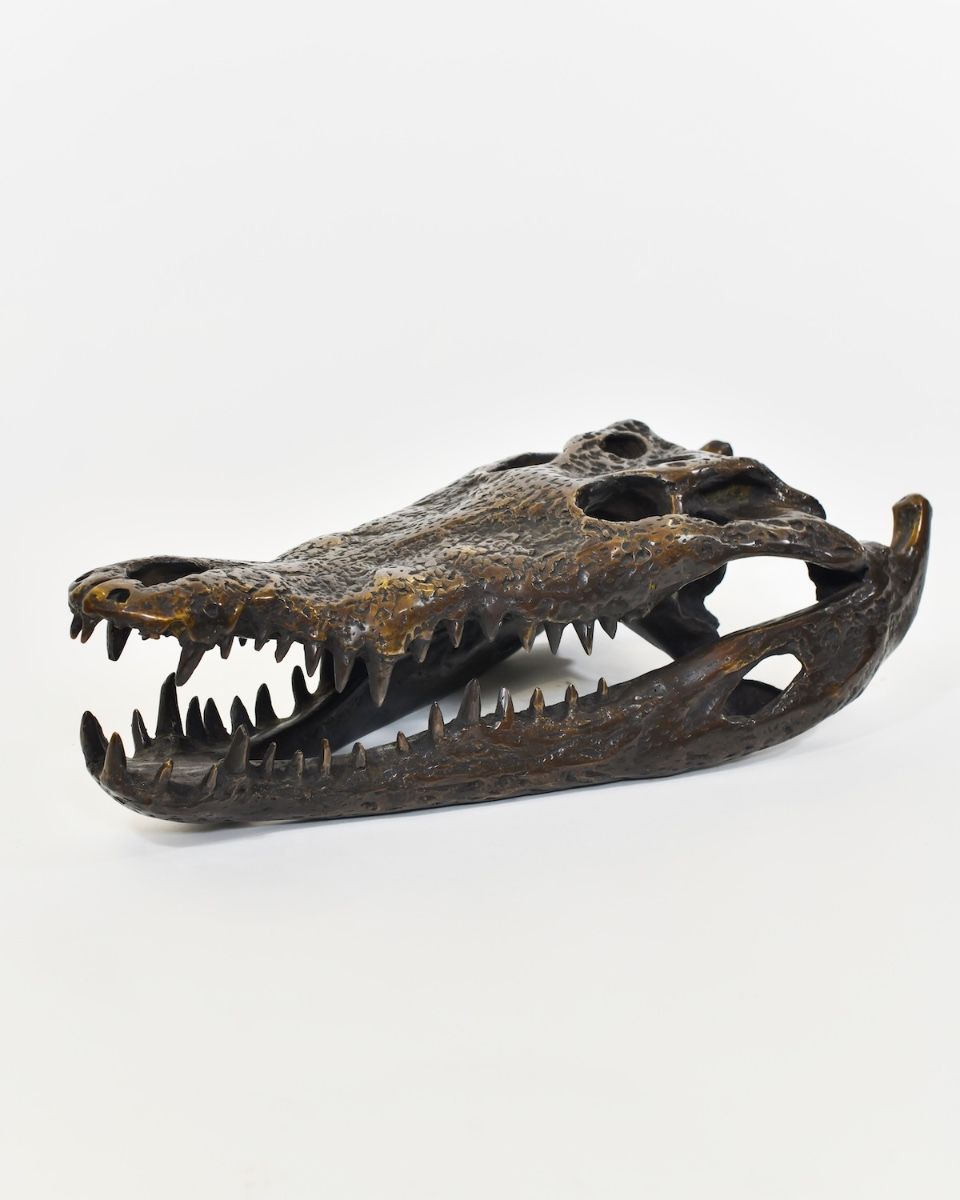 "Sobek" Cast Brass Crocodile Skull Sculpture