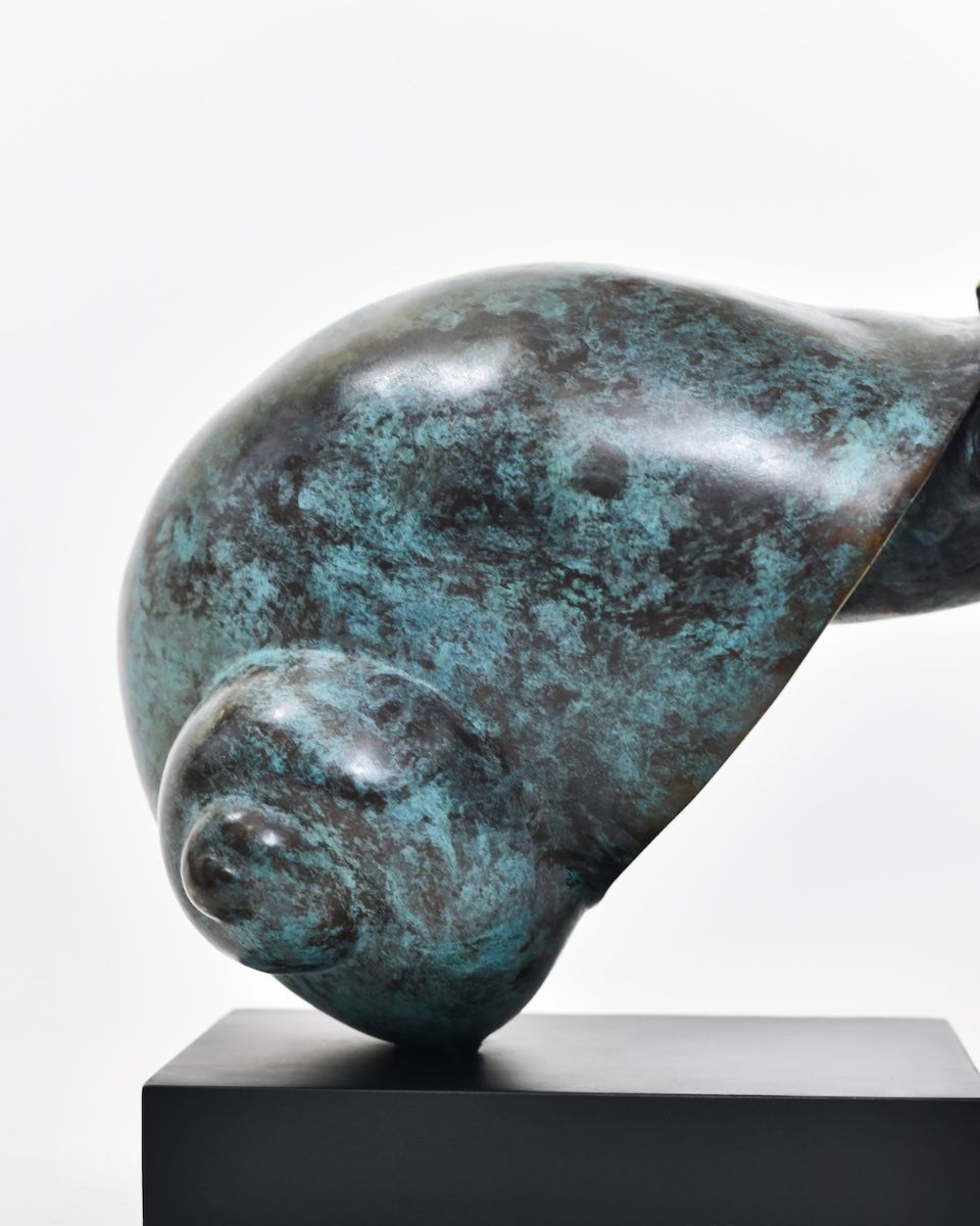 "Sovereign of the Shell" Hermit Crab Sculpture in Cast Brass close up of shell