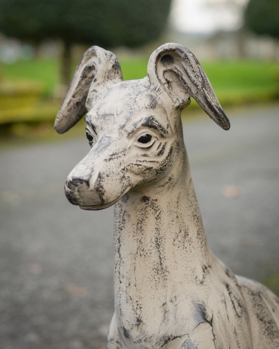 "Stanley" Sitting Greyhound Cast Aluminium Garden Sculpture close up of head