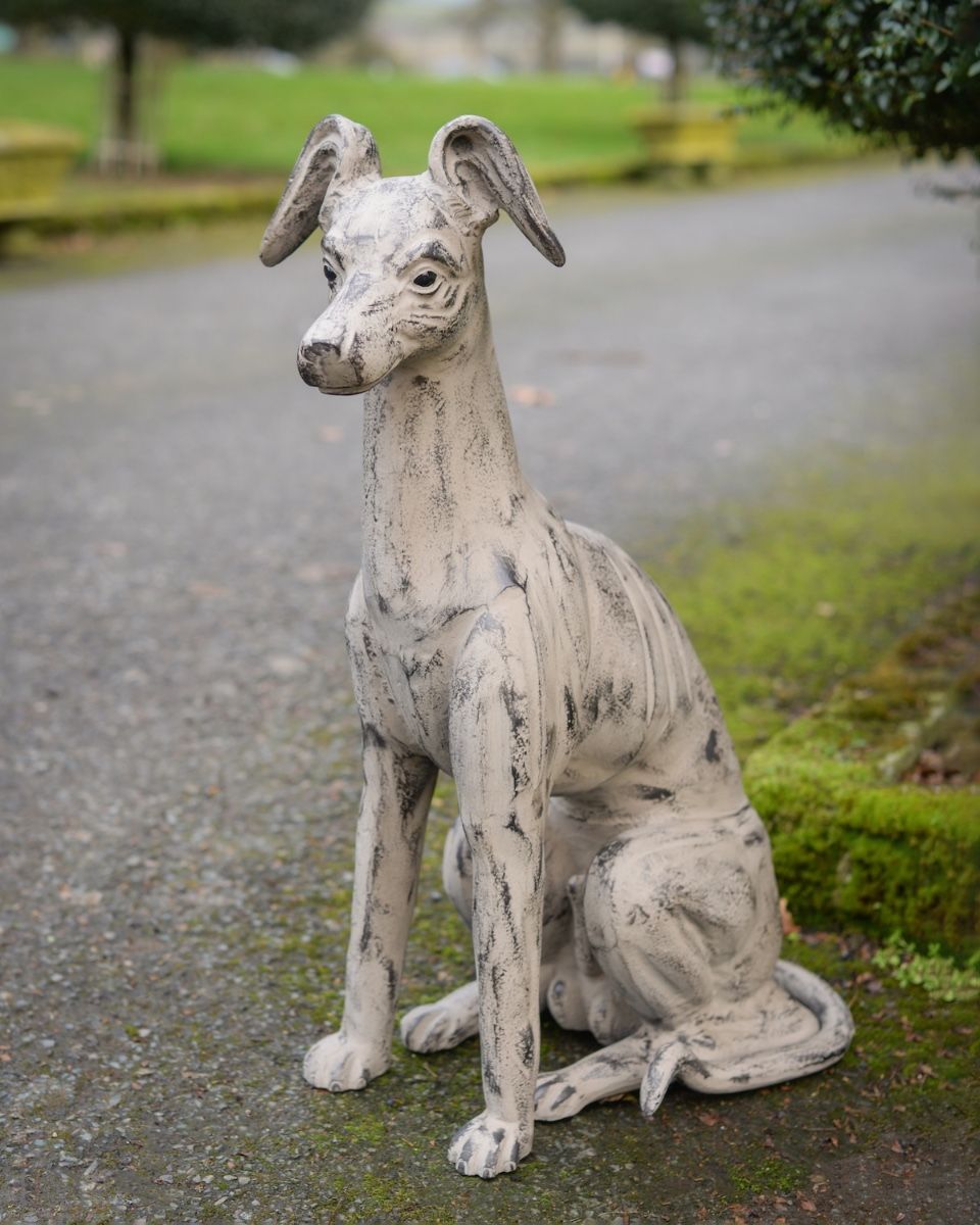 "Stanley" Sitting Greyhound Cast Aluminium Garden Sculpture high angled shot