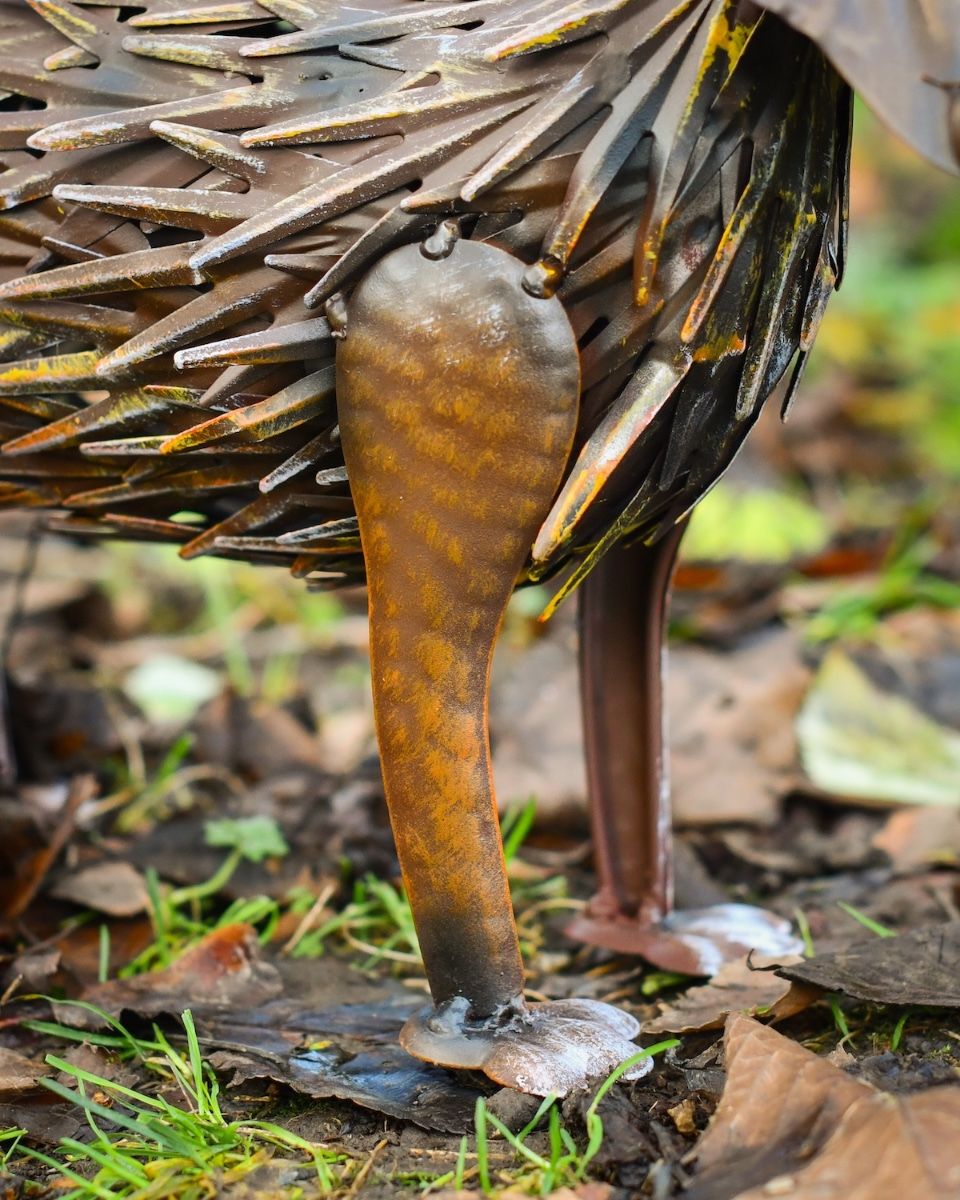 "Thatch" Steel Fox Garden Sculpture close up of front legs