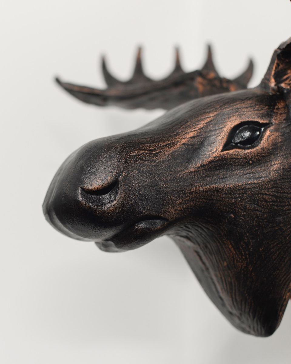 "The Great North" Moose Head Wall Art close up of head