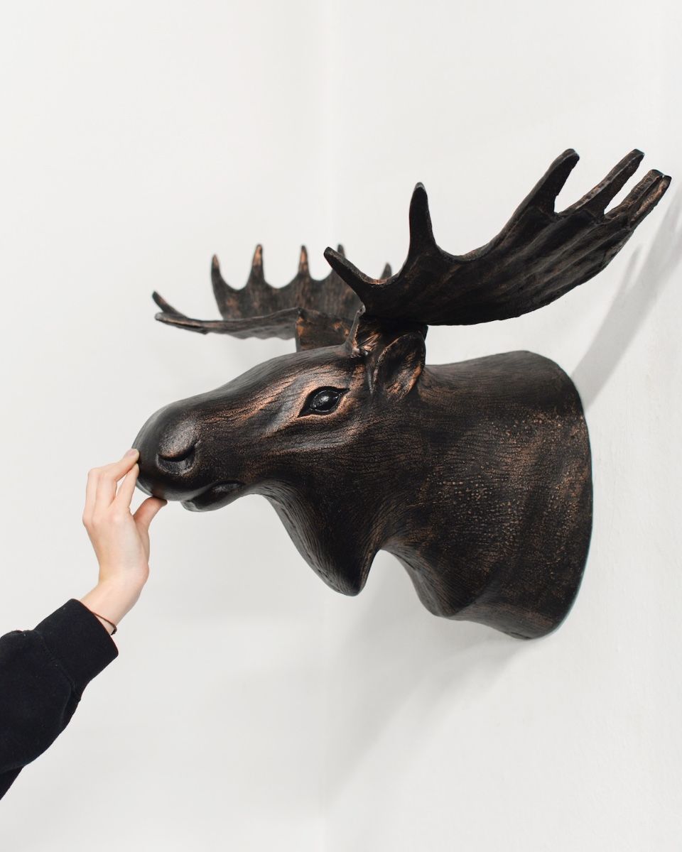 "The Great North" Moose Head Wall Art with hand in shot for scale