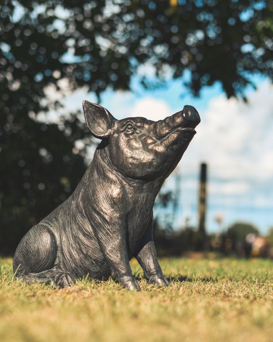 ‘Truffle’ the Pig Cast Aluminium Garden Sculpture low angle side view
