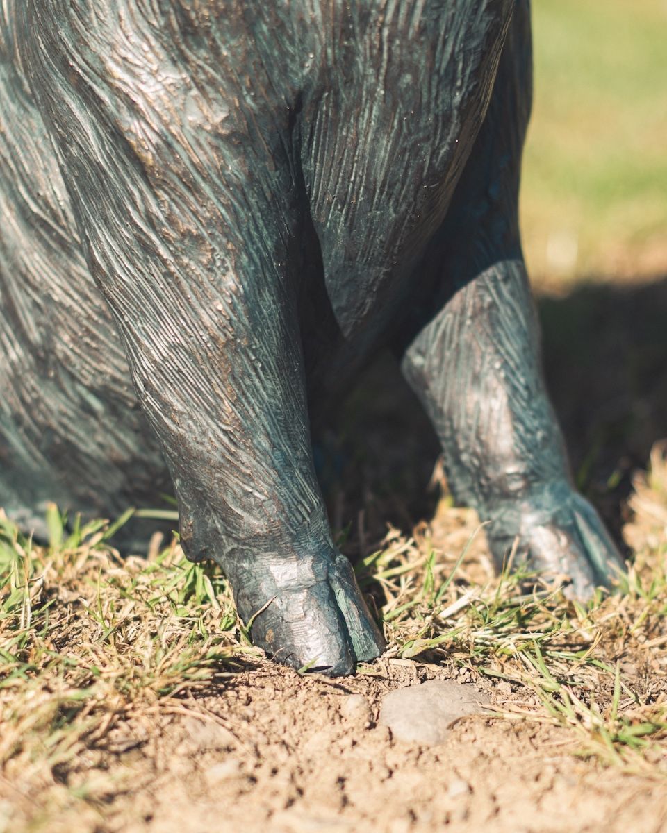 ‘Truffle’ the Pig Cast Aluminium Garden Sculpture close up of trotters