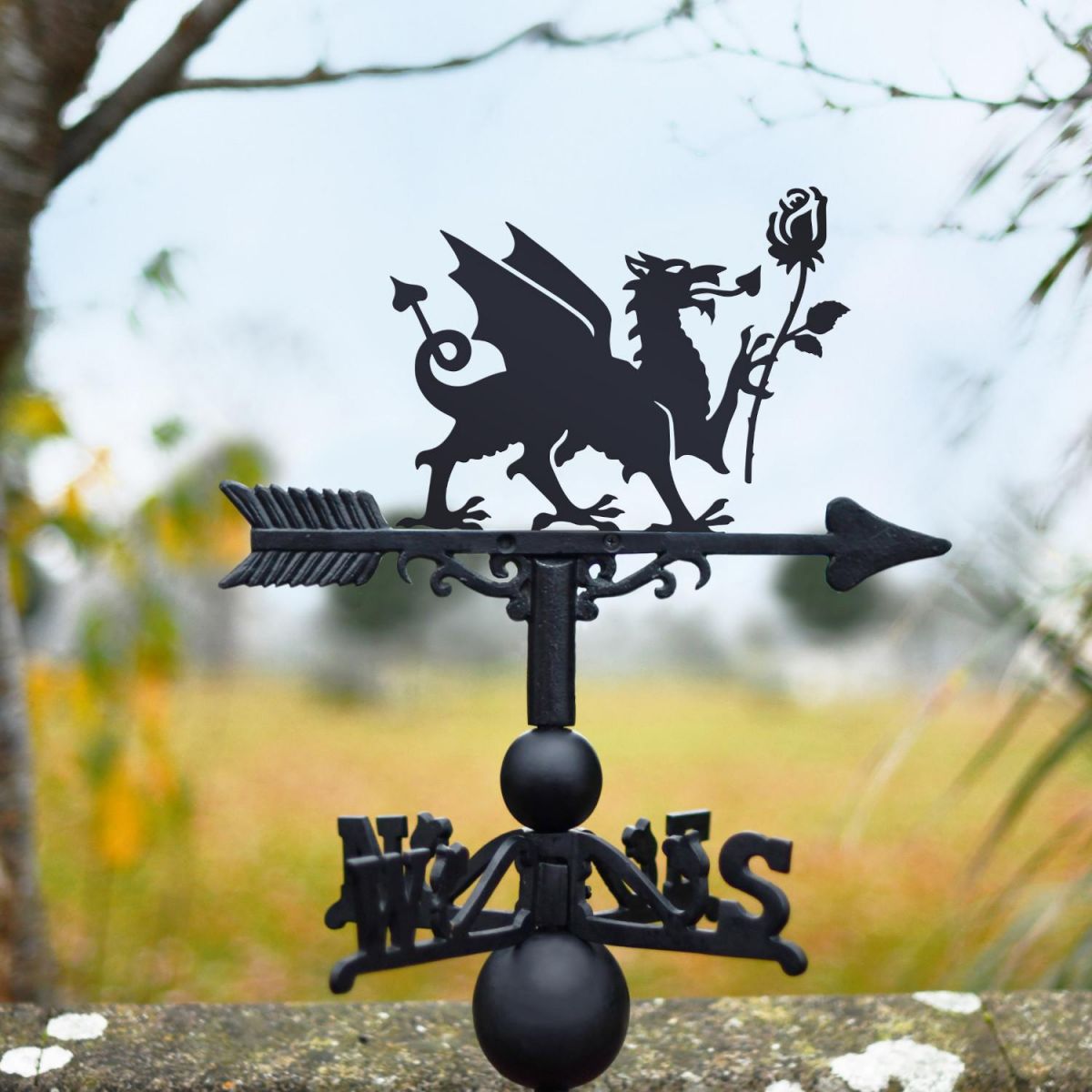 Welsh Dragon & English Rose weathervane in the countryside