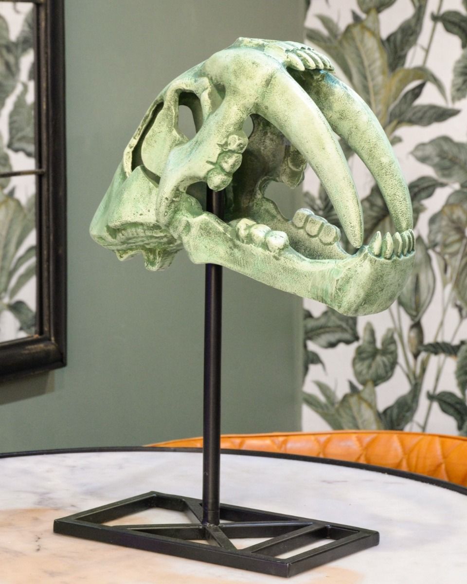 "Yukon" Sabre-Toothed Tiger Skull Cast Aluminium Home Ornament