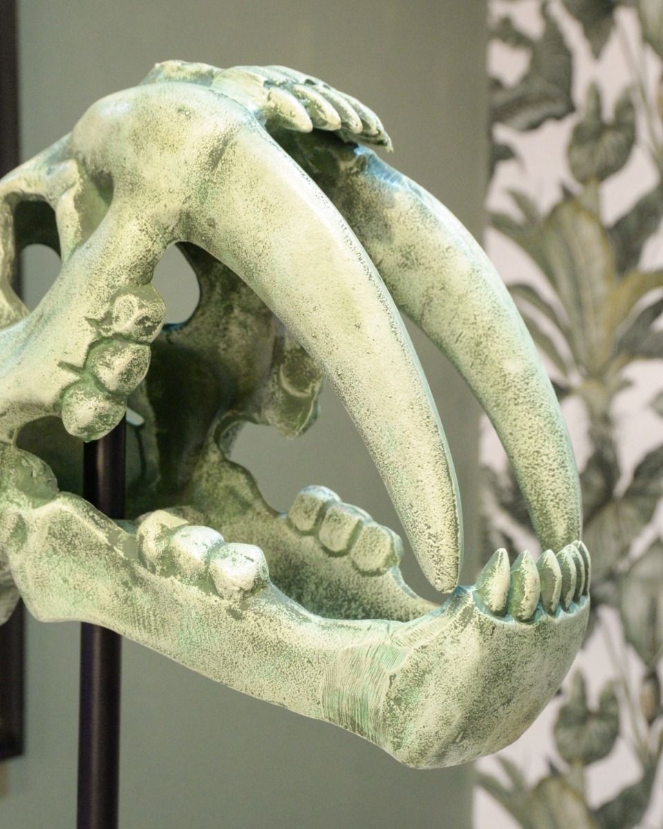 "Yukon" Sabre-Toothed Tiger Skull Cast Aluminium Home Ornament Close up of the Jaw and Teeth