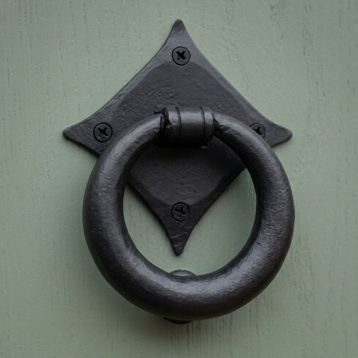 A close up of the Matte Black Iron Traditional Ring Door Knocker on a Sage Green Front Door - Digital Illustration 