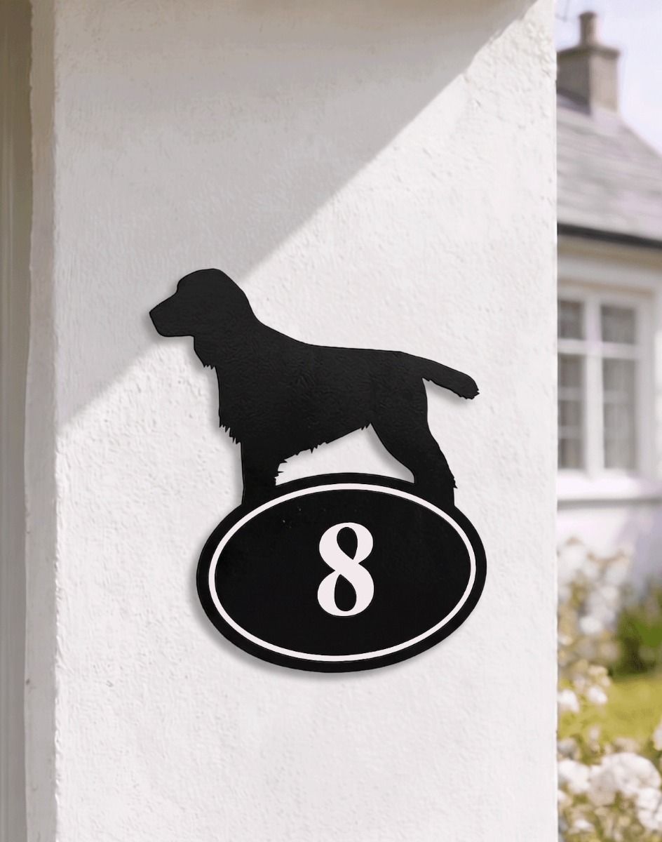 A Number 8 Cocker Spaniel Iron House Number Sign Mounted on a White Cottage Garden Wall - Digital Illustration